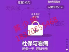 深圳社保代繳與學(xué)歷教育咨詢服務(wù)指南