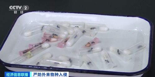 重磅！致死鐵案專辦 官方亮劍重點打擊法醫鑒定失真與謎團